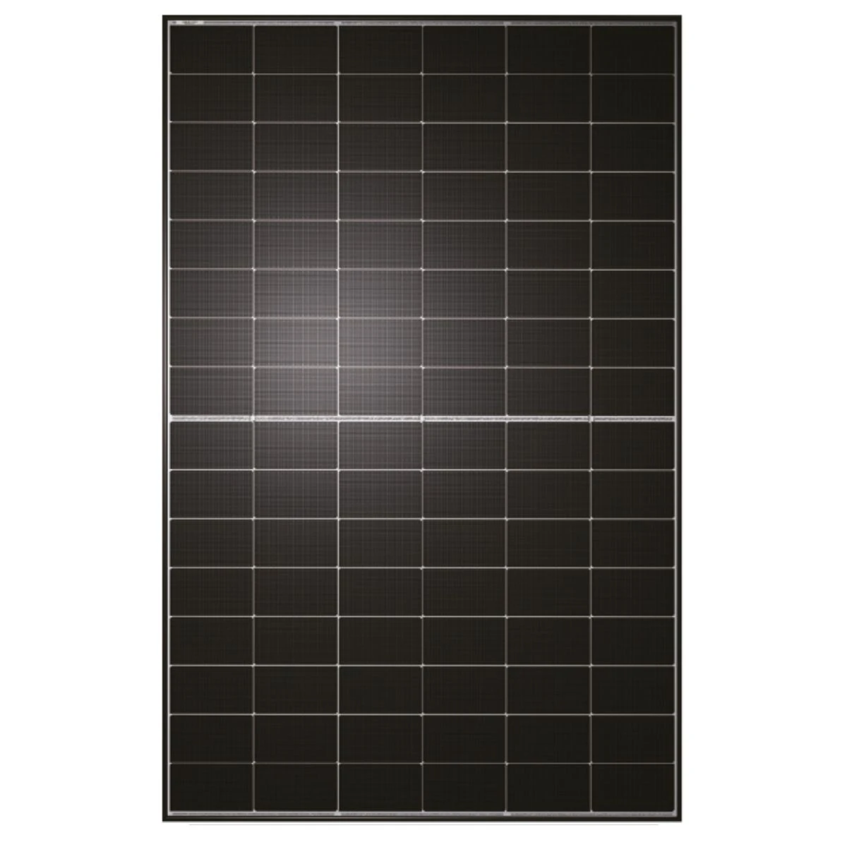Panel fotowoltaiczny TW Solar TWMNH-48HD440W 440W Bifacial BF